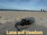 Luna auf Usedom Juli 24