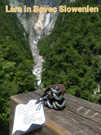 Lara in Bovec Slowenien Juni &acute;24